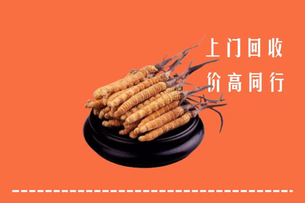 高价求购：黔南州平塘县回收散虫草