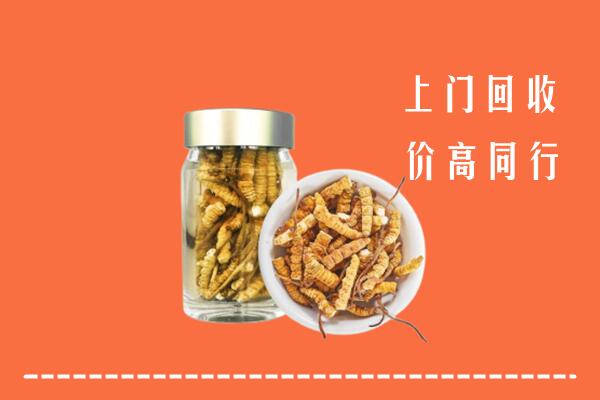 黔南州平塘县回收冬虫夏草
