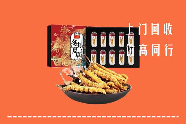 黔南州平塘县回收虫草